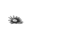 sedigas_logo_cliente sedigas_logo_cliente